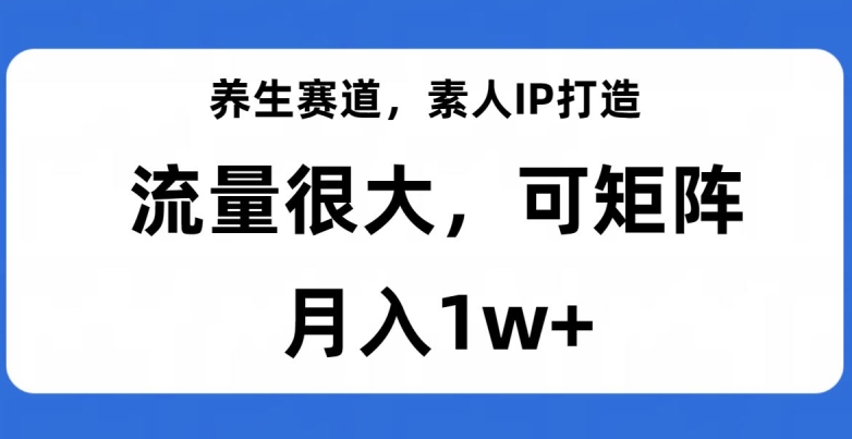 养生赛道，素人IP打造，流量很大，可矩阵，月入1w+【揭秘】